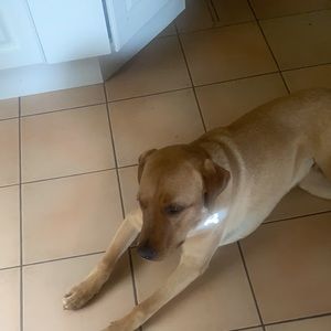 Meet your Posher, Margaret